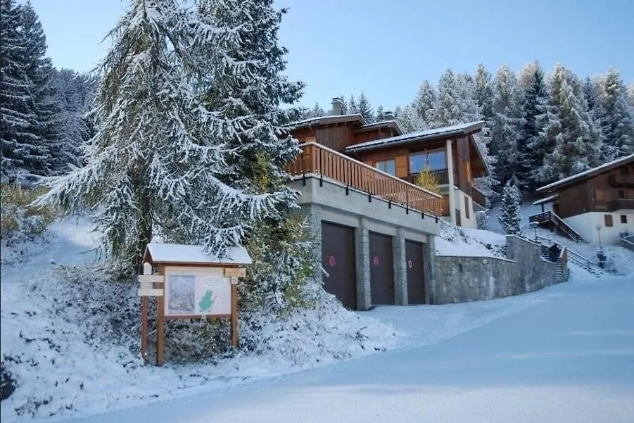 Le Sauget- Au Chalet Bellevue Domaine La Plagne Paradiski Macot-la-Plagne Apartment